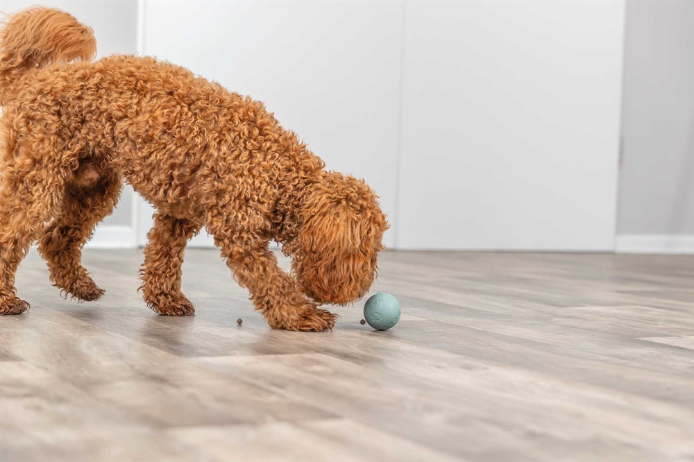 Trixie Snacksball Labyrint Aktiveringsboll - 2