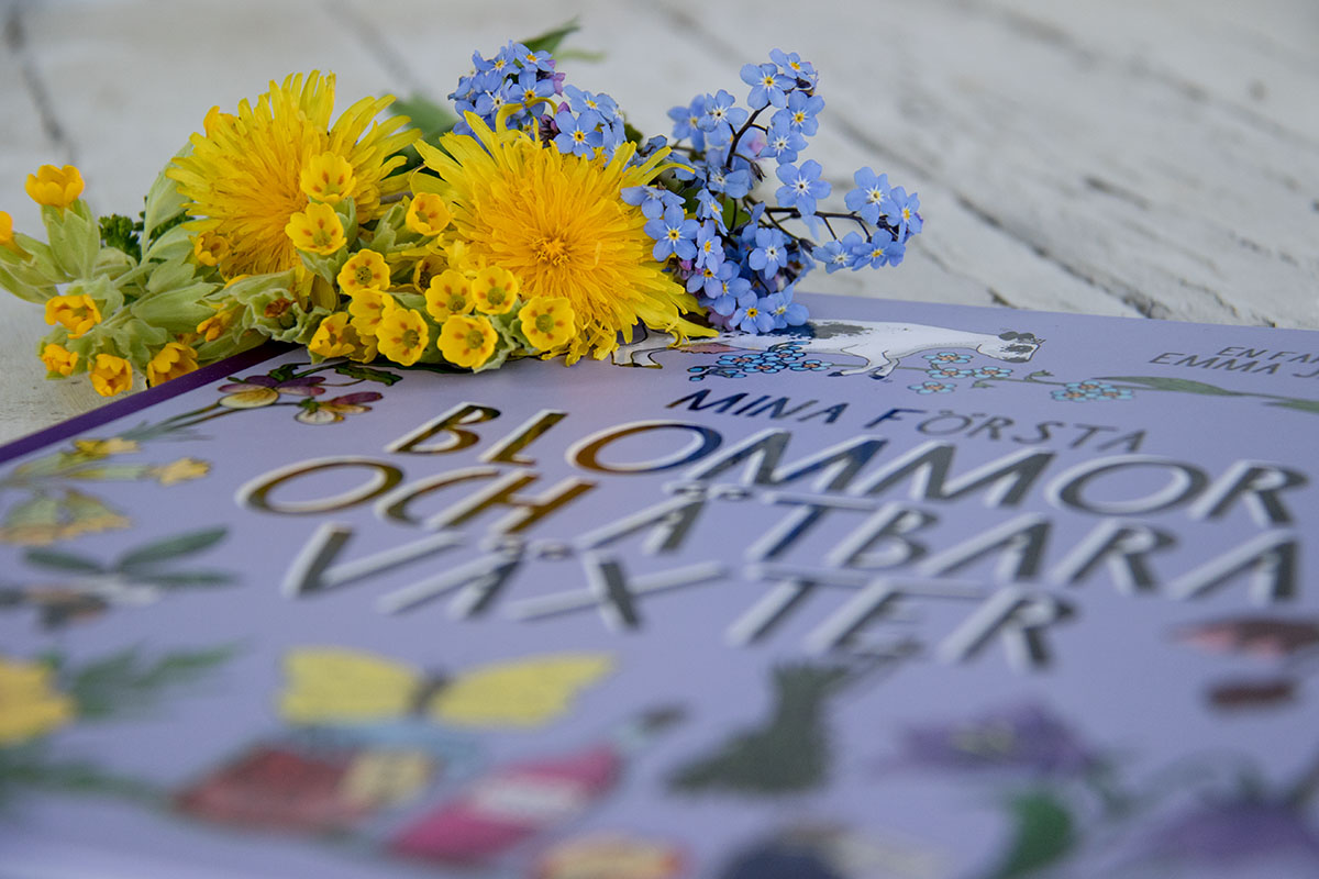 Mina första blommor och ätbara växter - 2