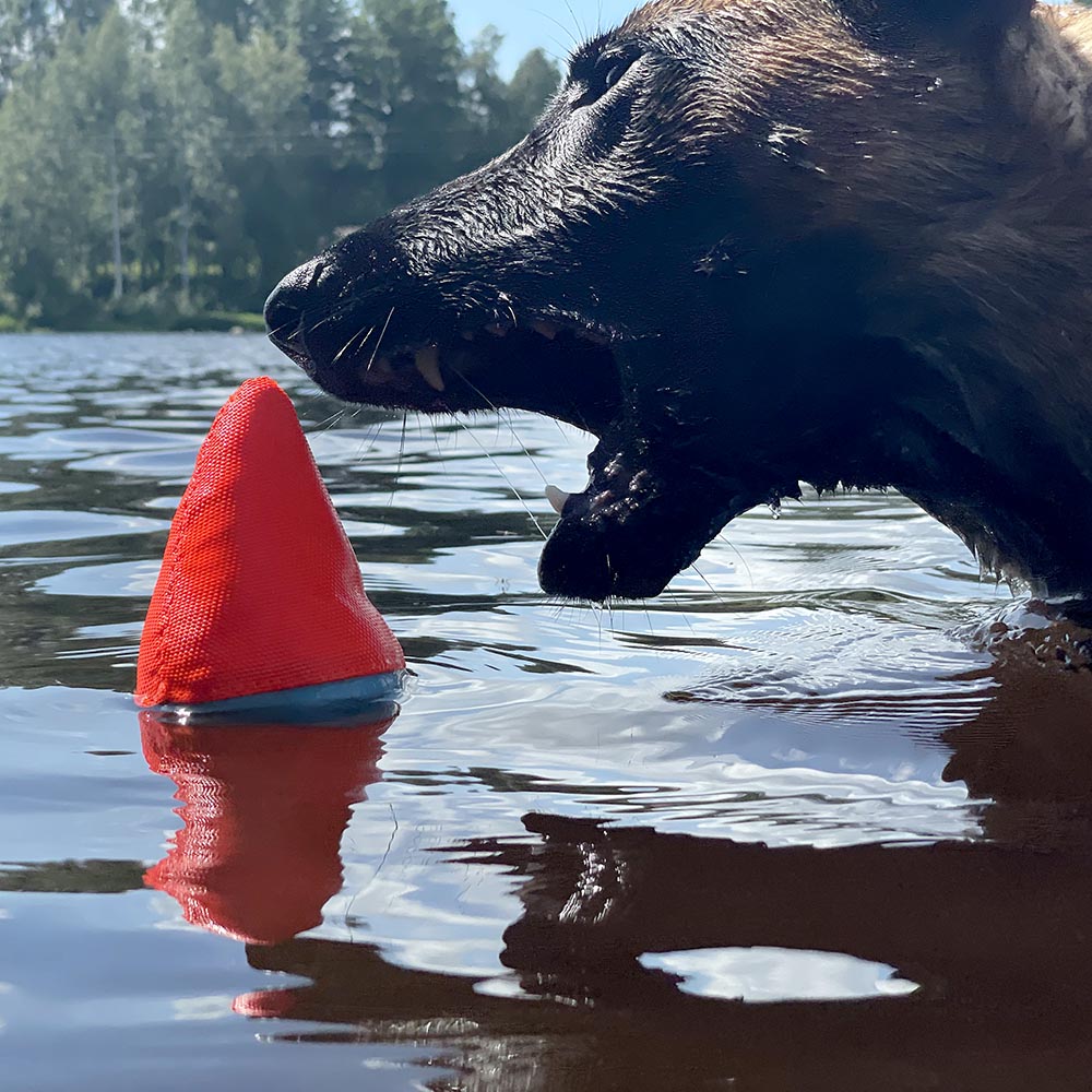 Chuckit Shark fin - 4