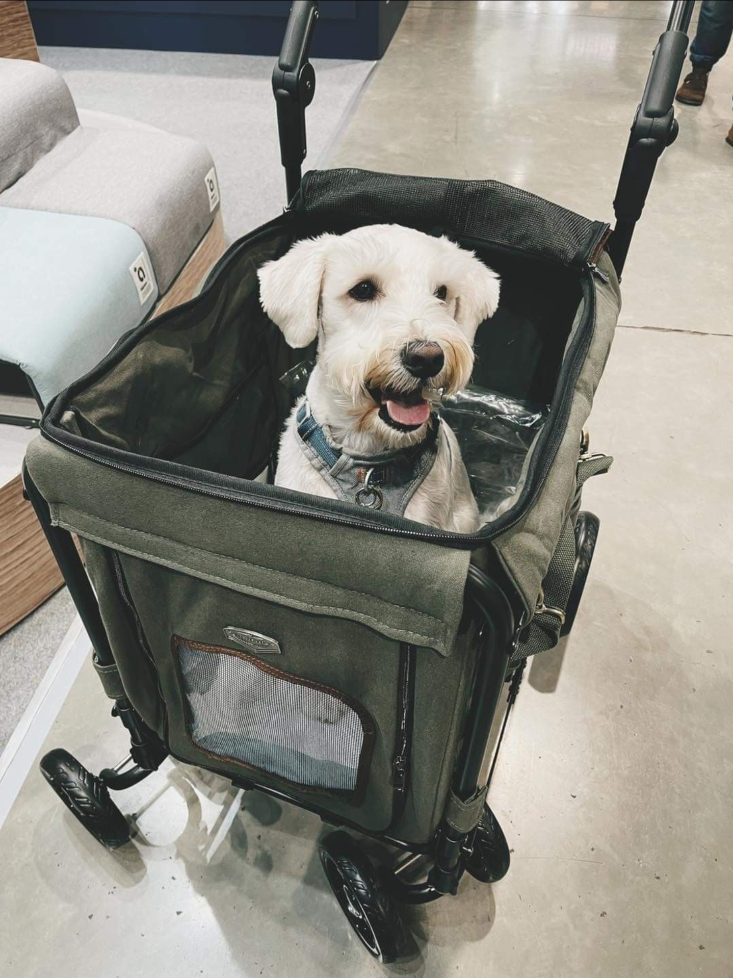 GENTLE GIANT WAGON PET STROLLER - ARMY GREEN - 10