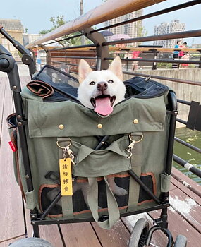 GENTLE GIANT WAGON PET STROLLER - ARMY GREEN