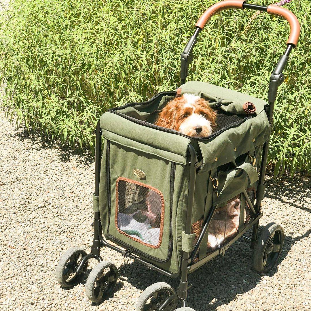 GENTLE GIANT WAGON PET STROLLER - ARMY GREEN - 18