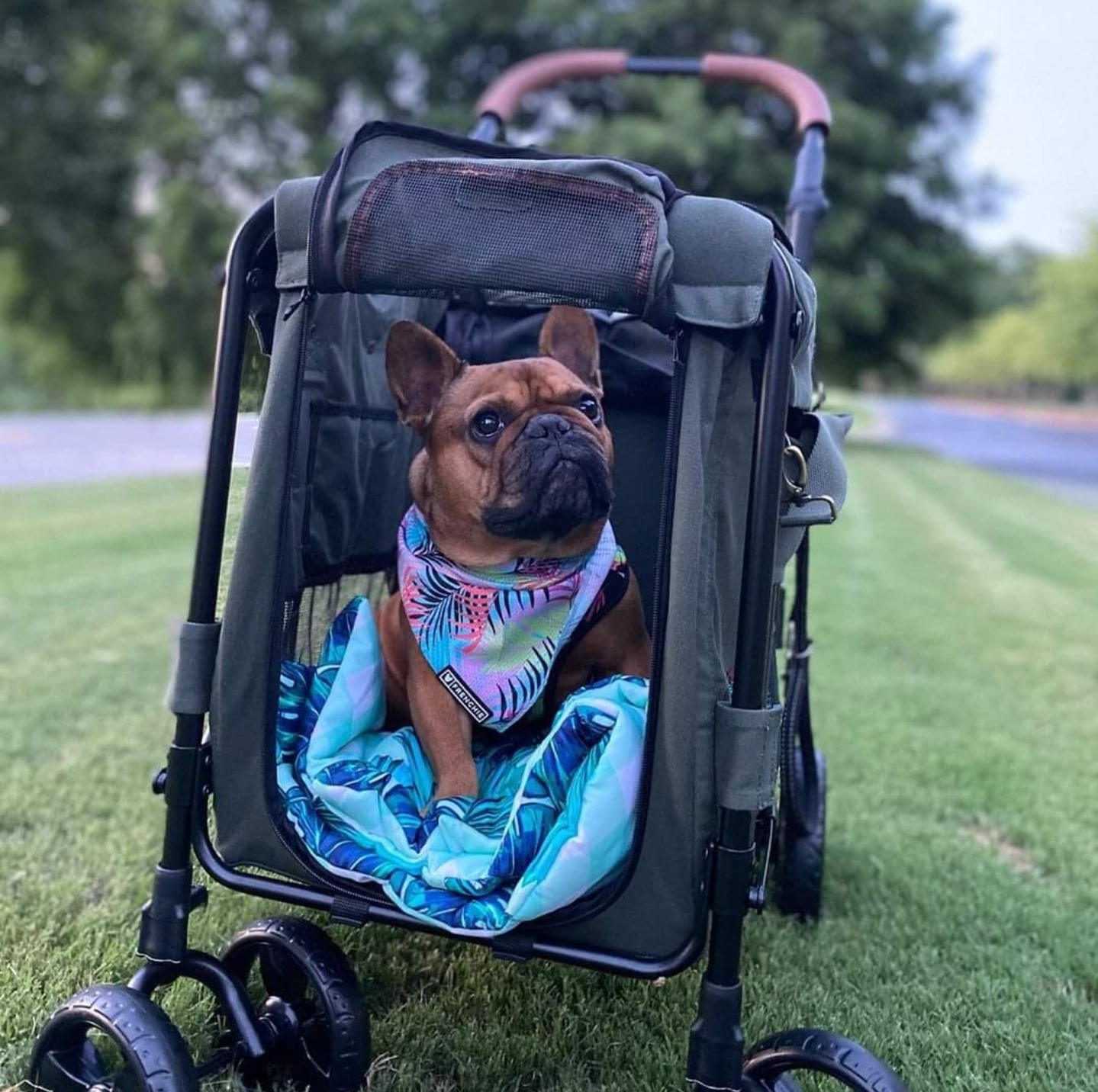 GENTLE GIANT WAGON PET STROLLER - ARMY GREEN - 5