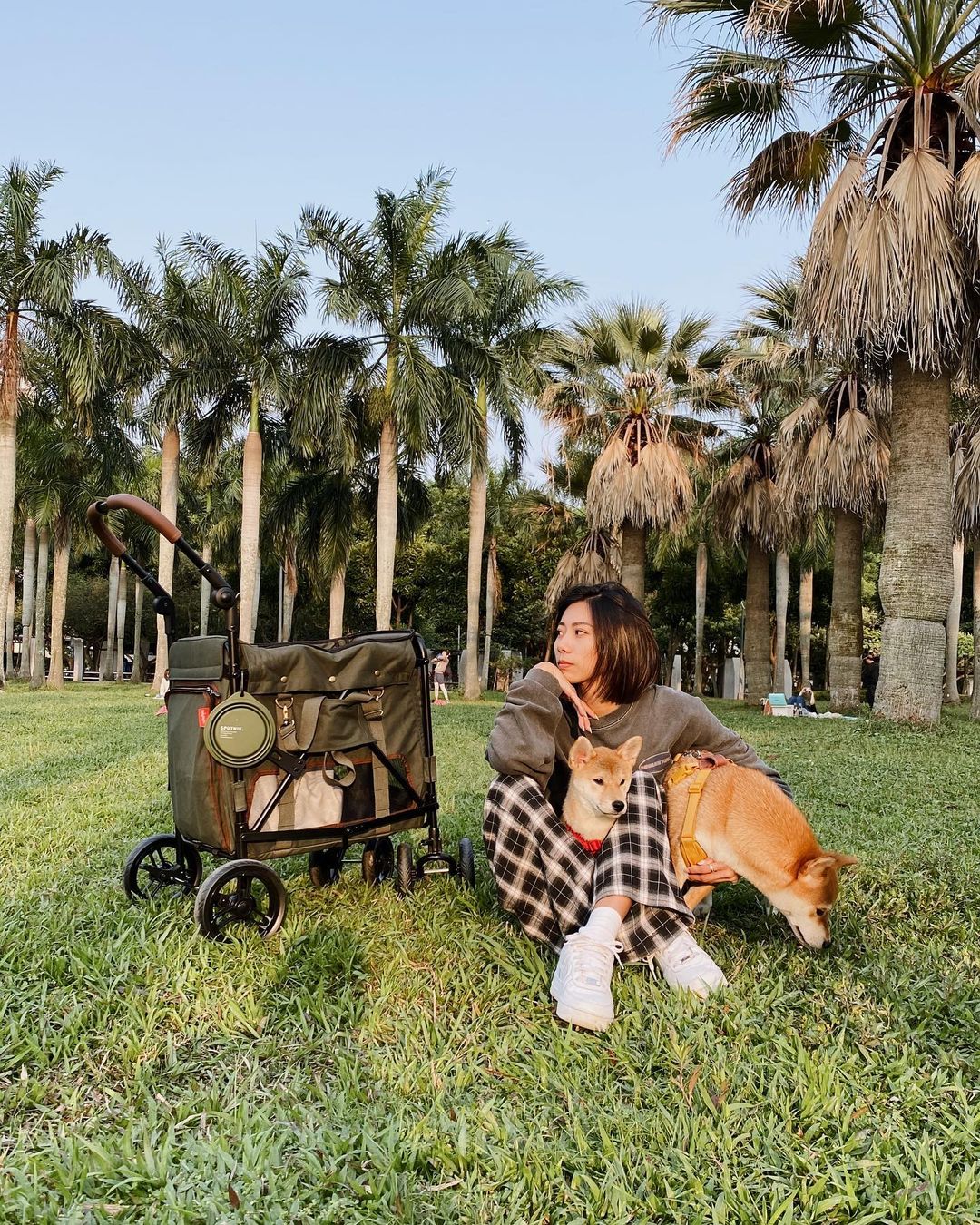 GENTLE GIANT WAGON PET STROLLER - ARMY GREEN - 17