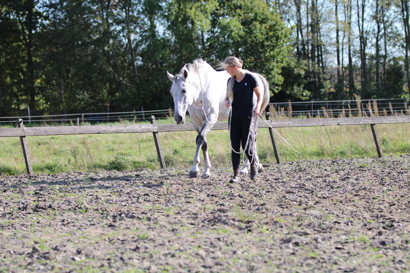 F.R.A® Natural horsemanship, in cotton, 820 cm - 13
