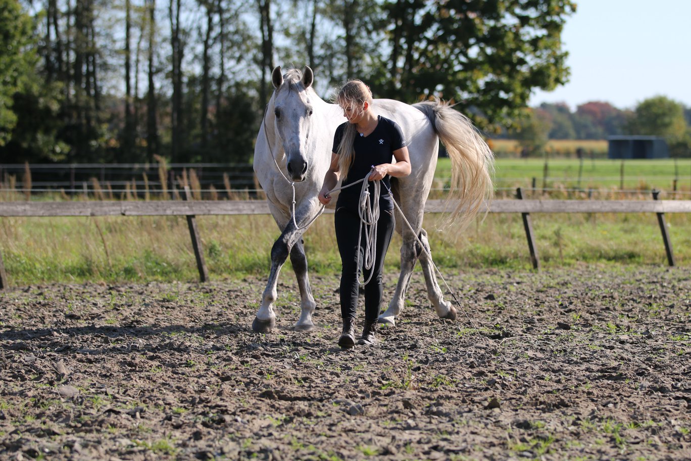 F.R.A® Natural horsemanship, in cotton, 820 cm - 14
