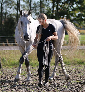 F.R.A® Natural horsemanship, in cotton, 820 cm
