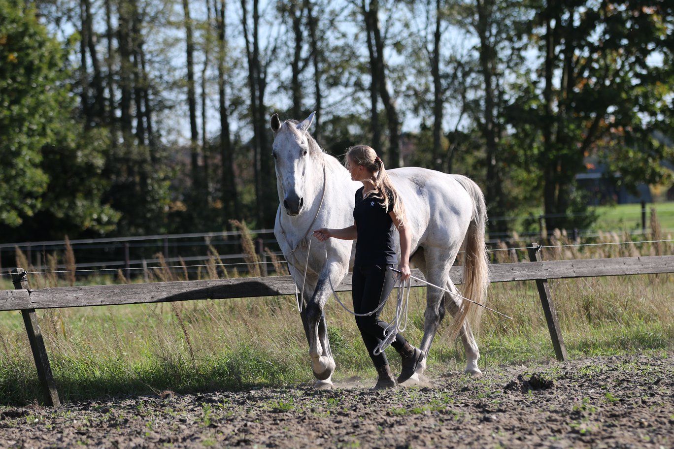 F.R.A® Natural horsemanship, in cotton, 820 cm - 9