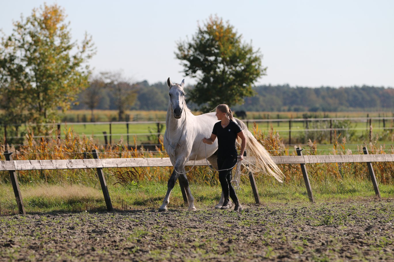 F.R.A® Natural horsemanship, in cotton, 820 cm - 11