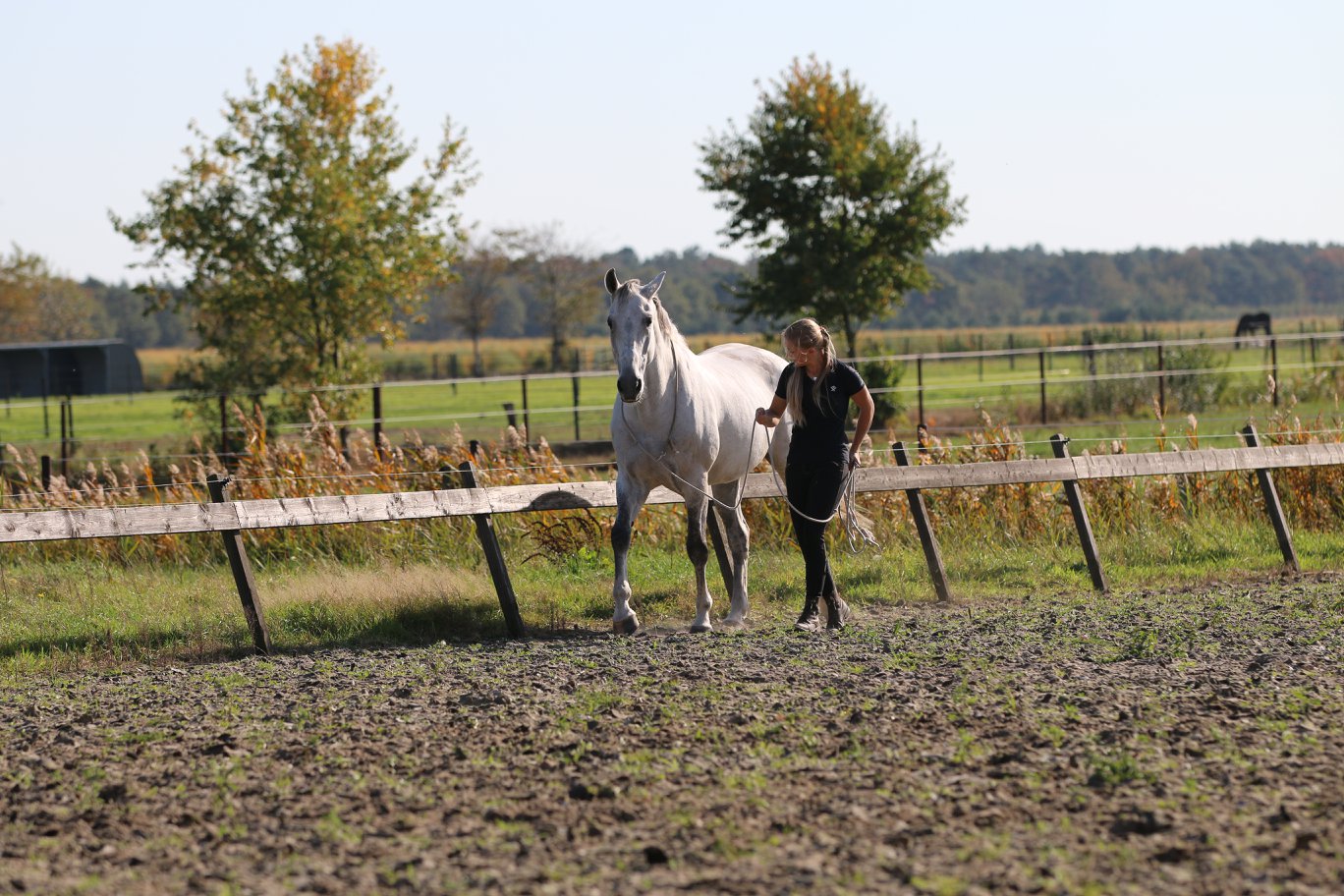F.R.A® Natural horsemanship, in cotton, 820 cm - 12