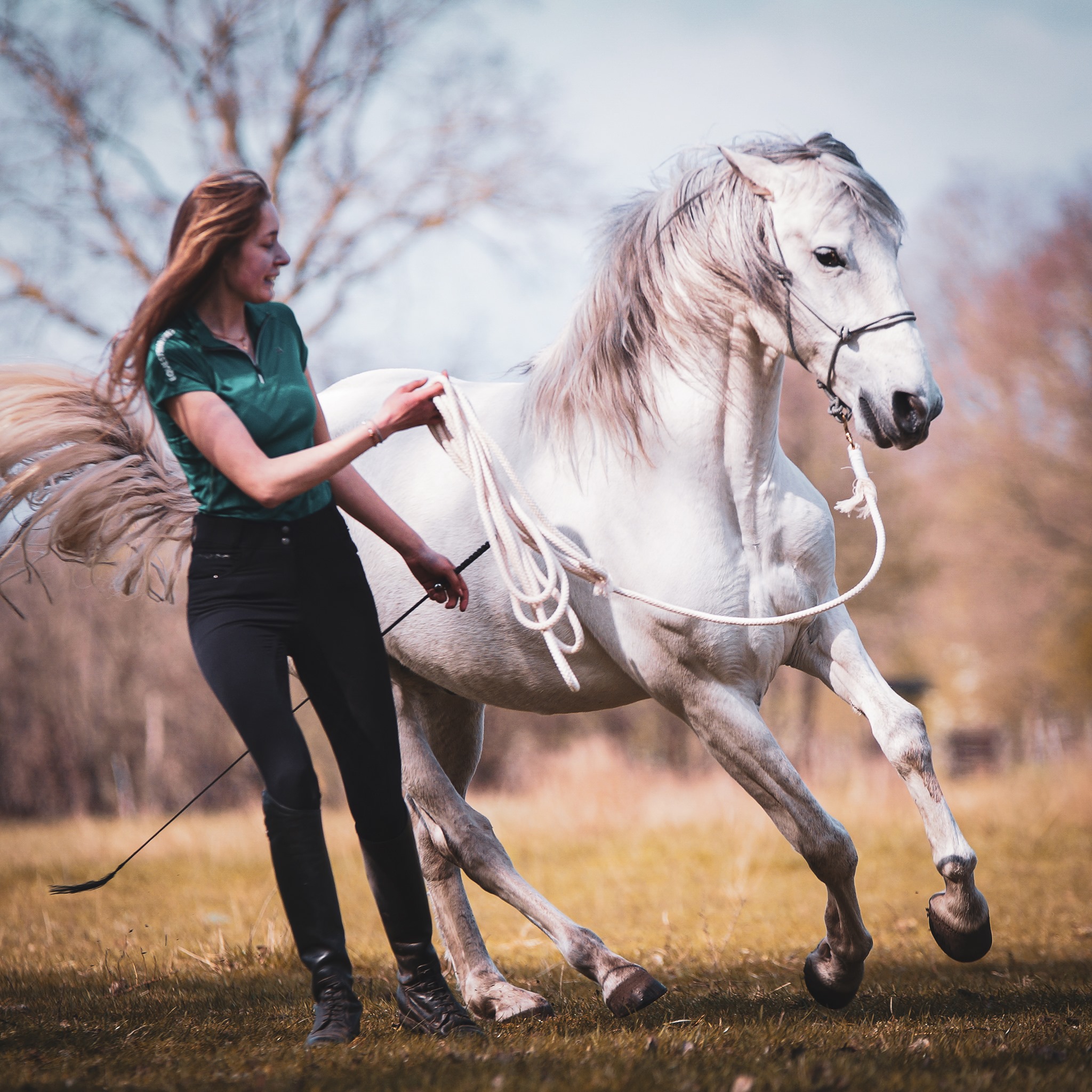 F.R.A® Natural horsemanship, in cotton, 820 cm - 7