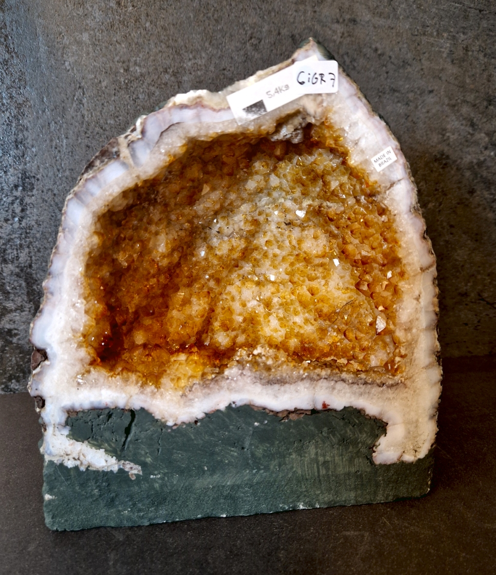 Citringrotta - 5,4kg