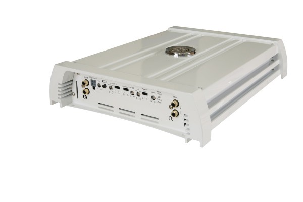 DLS MRA31