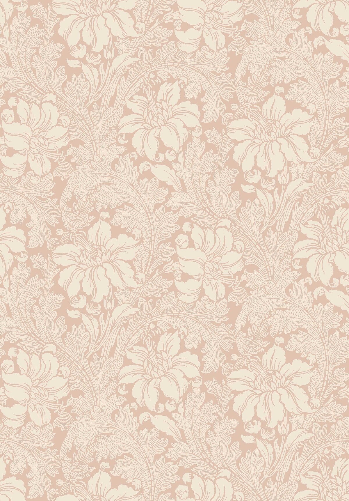 Acanthus - 2009