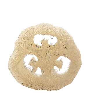 Tvålunderlägg Loofagurka Meretes Ekobutik