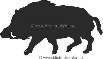 Wild boar