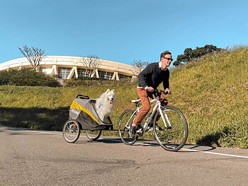 INNOPET  HERCULES 2.0 XLarge Dog Stroller & Bike Trailer - Grey/Yellow