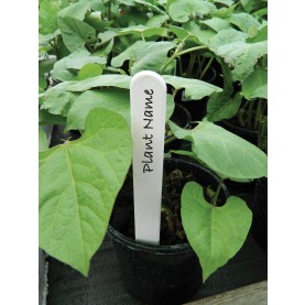 Plantetiketter 10cm 25/50-pack - 2