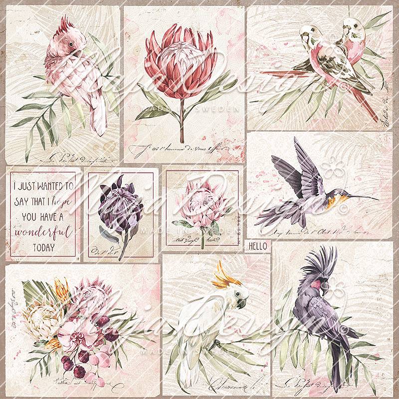 MAJA DESIGN-TROPICAL GARDEN-12x12 Die cuts
