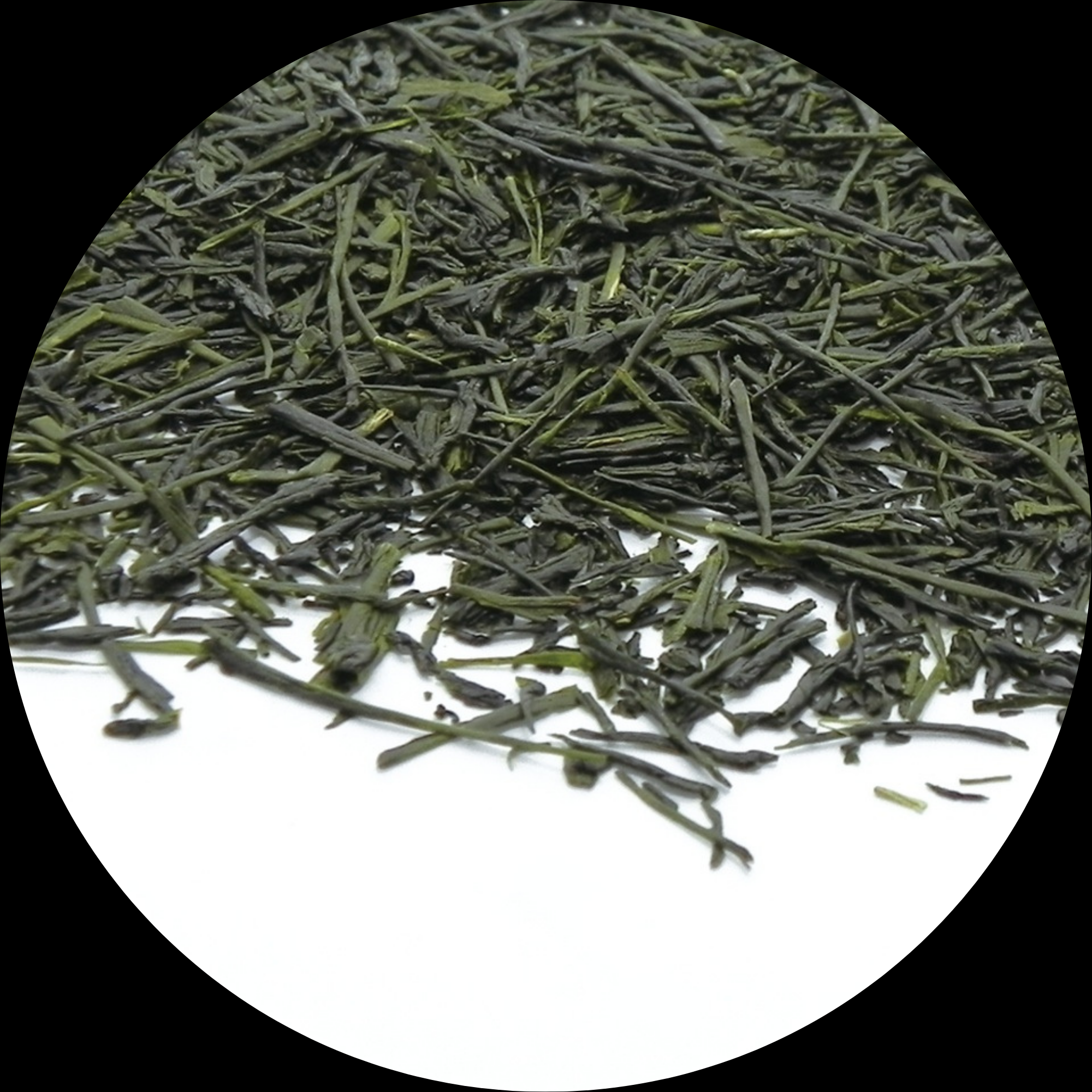 SENCHA FF Premium  
