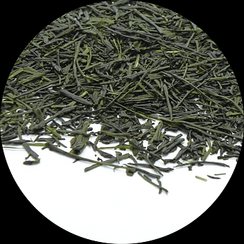 SENCHA FF Premium  