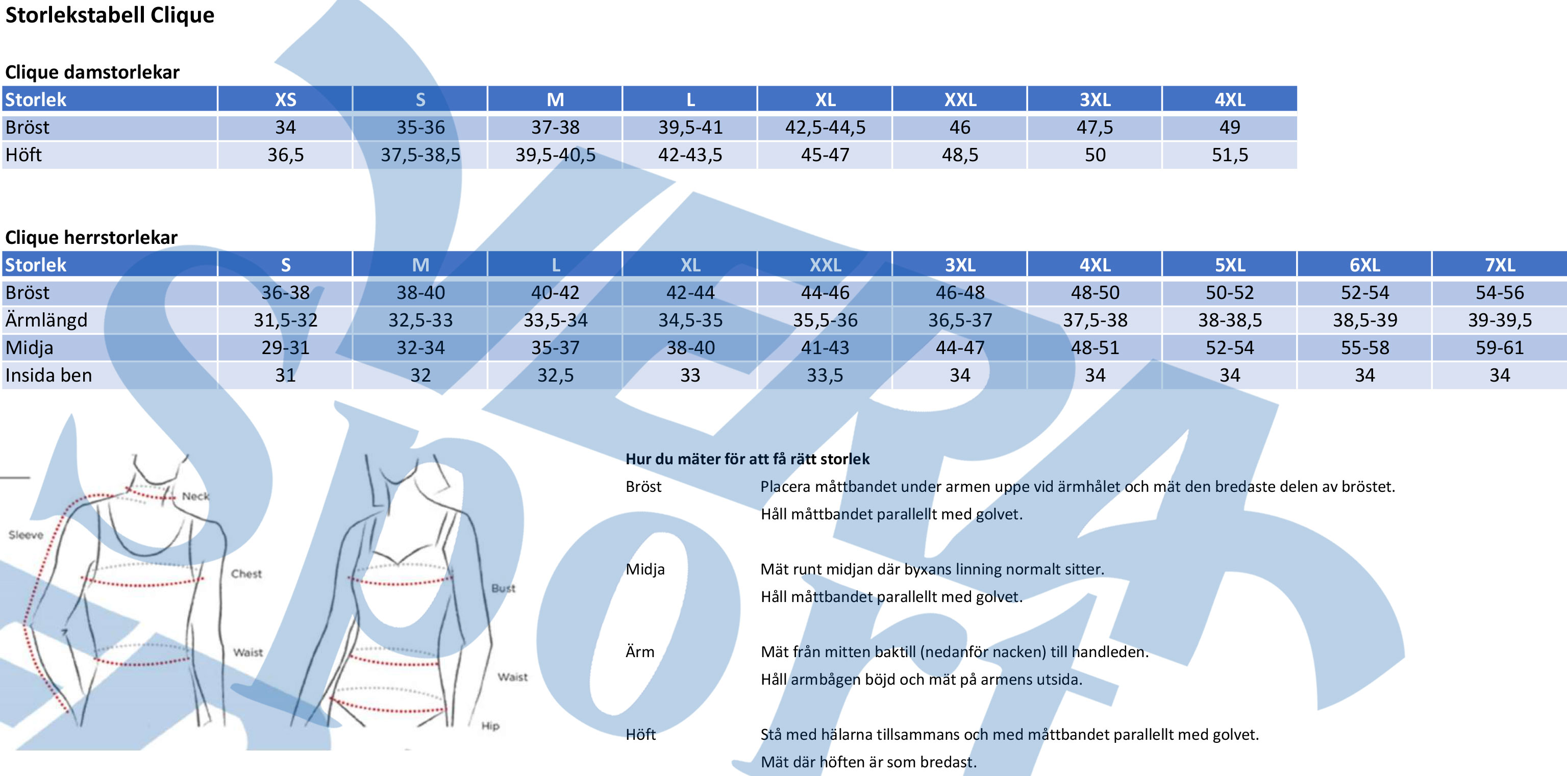 Basic Hoody Swedish Gymnastics - 7
