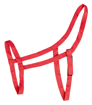 Waldhausen Field Halter - Red