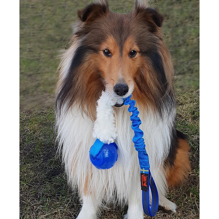 Jami Hundsport Slem Hälge - 4