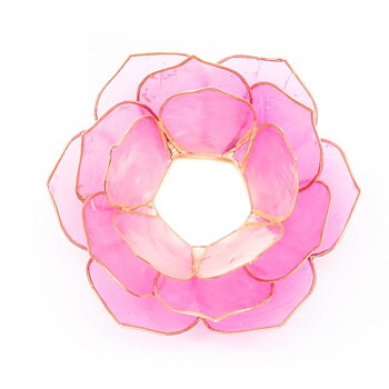 Lotuslyktan i snäckskal - Rosa med Guldtrim
