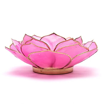 Lotuslyktan i snäckskal - Rosa med Guldtrim