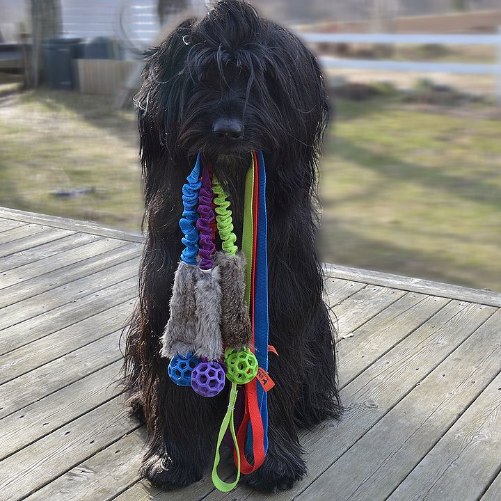 Jami Hundsport Kinder Kanin med JW Boll - 3