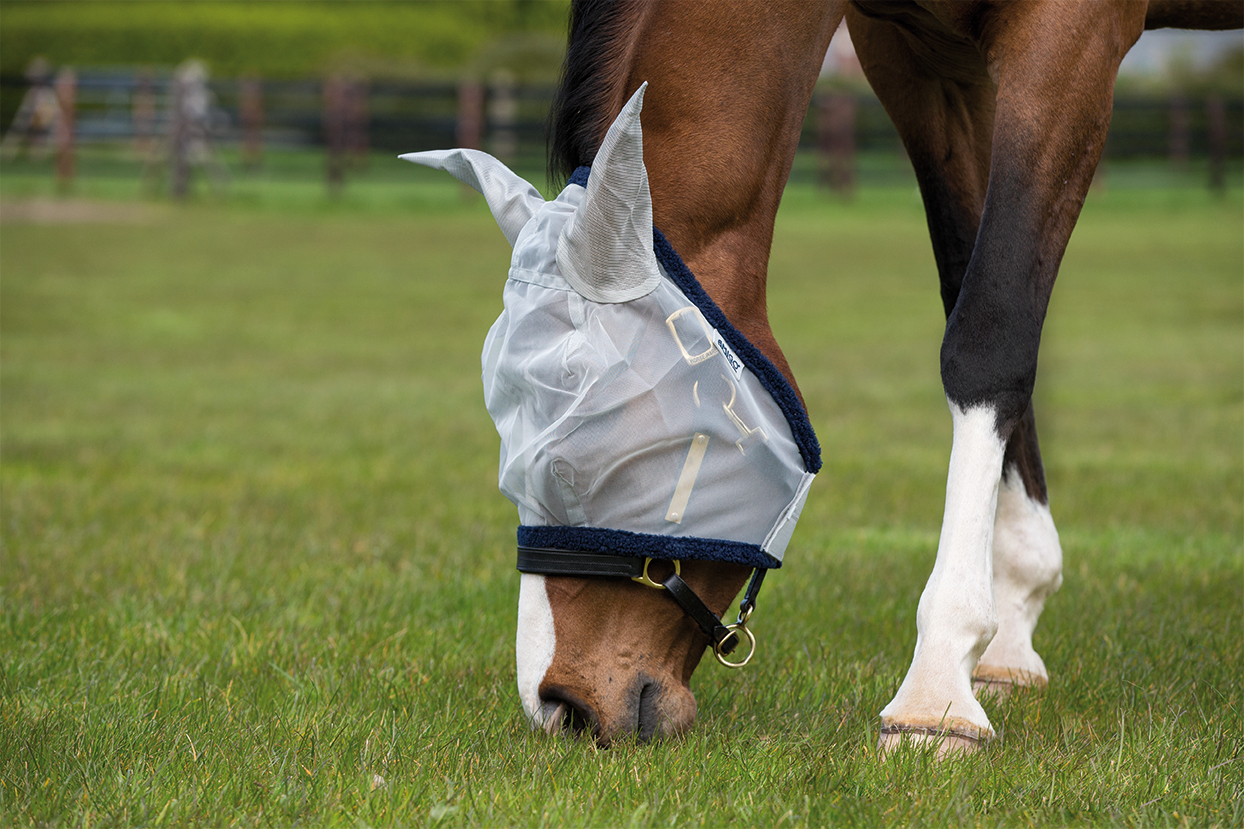 Häst med Horseware flymask silver/navy