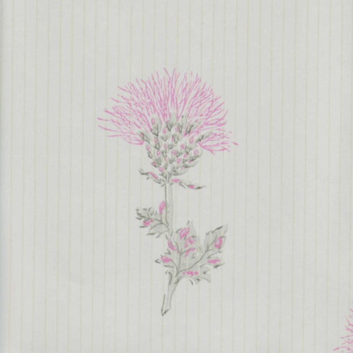 Ohdake, grey-violet