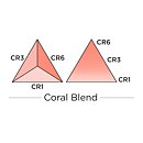 Spectrum Noir Triblend Alcohol Brush Marker - Coral Blend