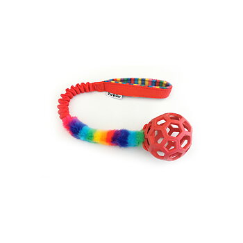 Tellus  Rainbow