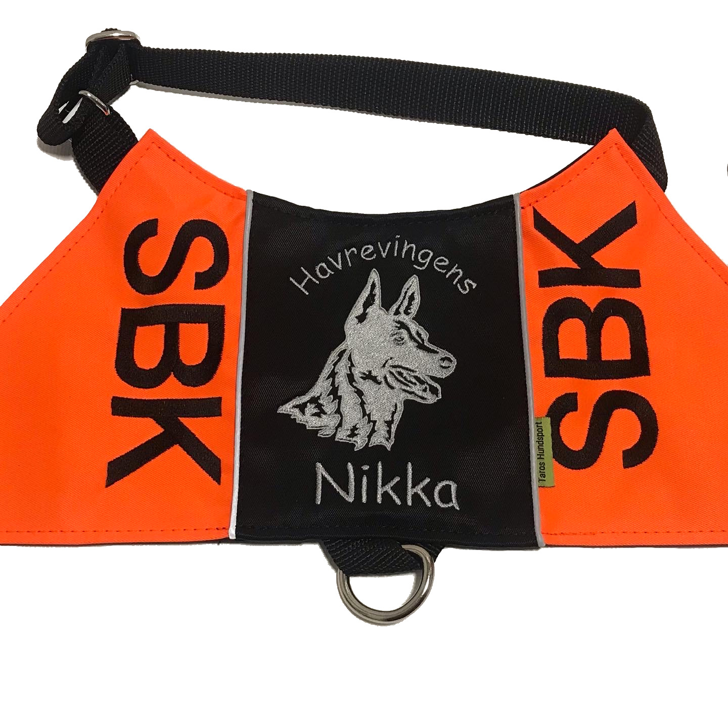 Holländsk herdehund - Brodyr 81 - 2