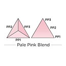 Spectrum Noir Triblend Alcohol Brush Marker - Pale Pink Blend