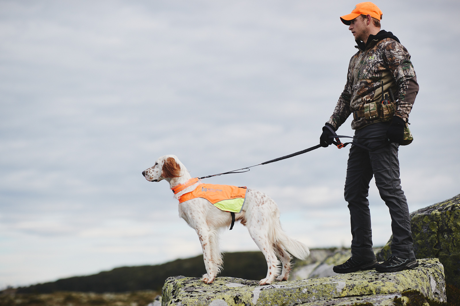 Non-stop Dogwear Protector Cover - Metsästysliivi - lintukoiran metsästysliivi 