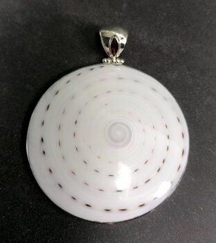 Snäckhänge med silver detaljer - Shivas Eye