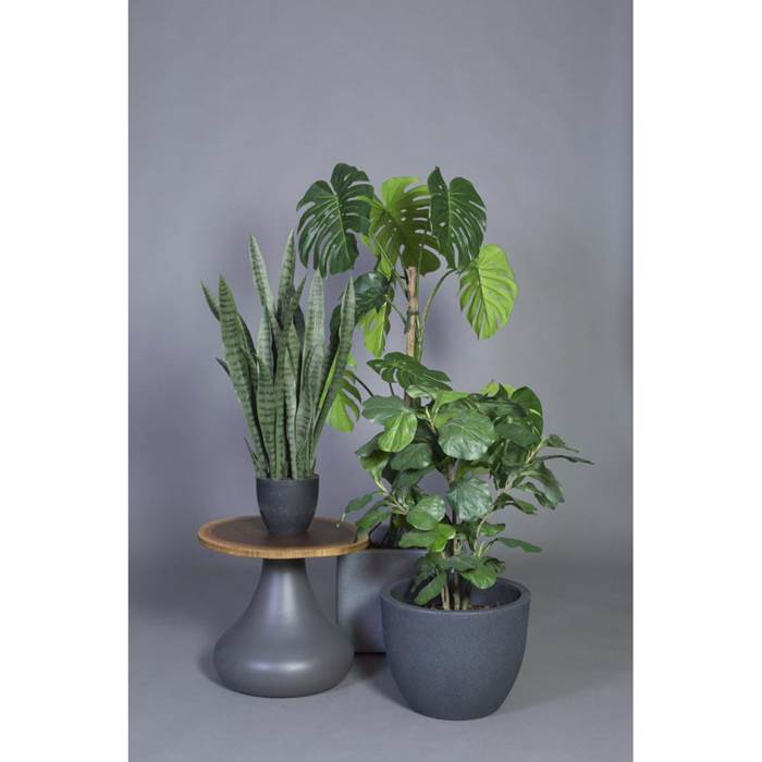Konstväxt Fiolfikus 90cm - 3