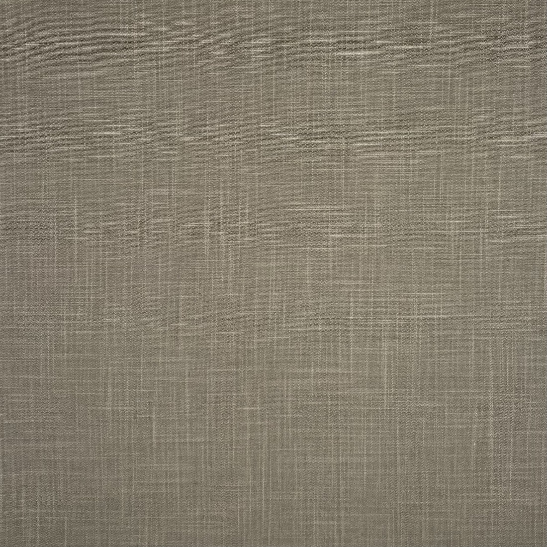 Coated Cotton Lycra Beige