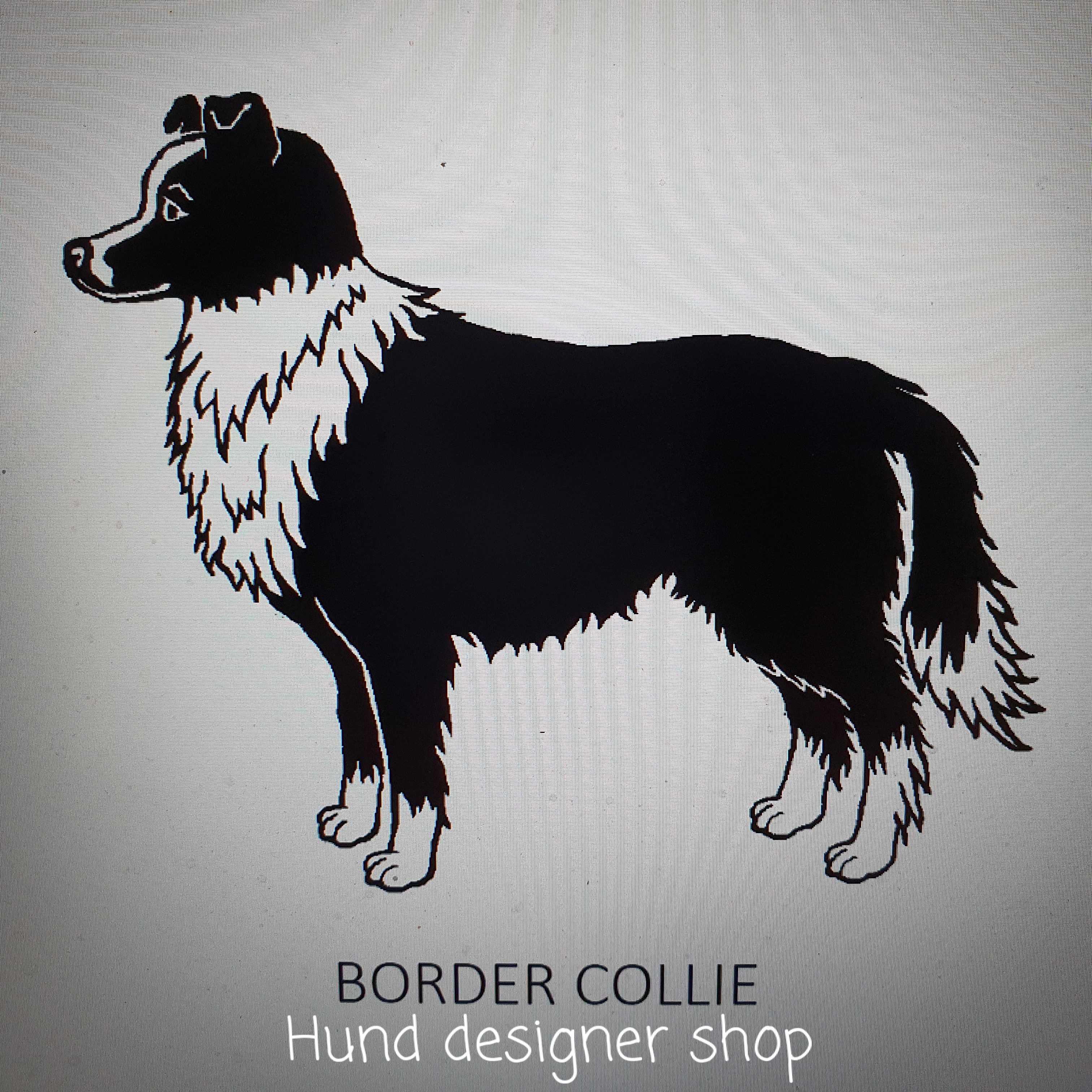 Bordie Collie klisterdekaler  flera storlekar & frger.