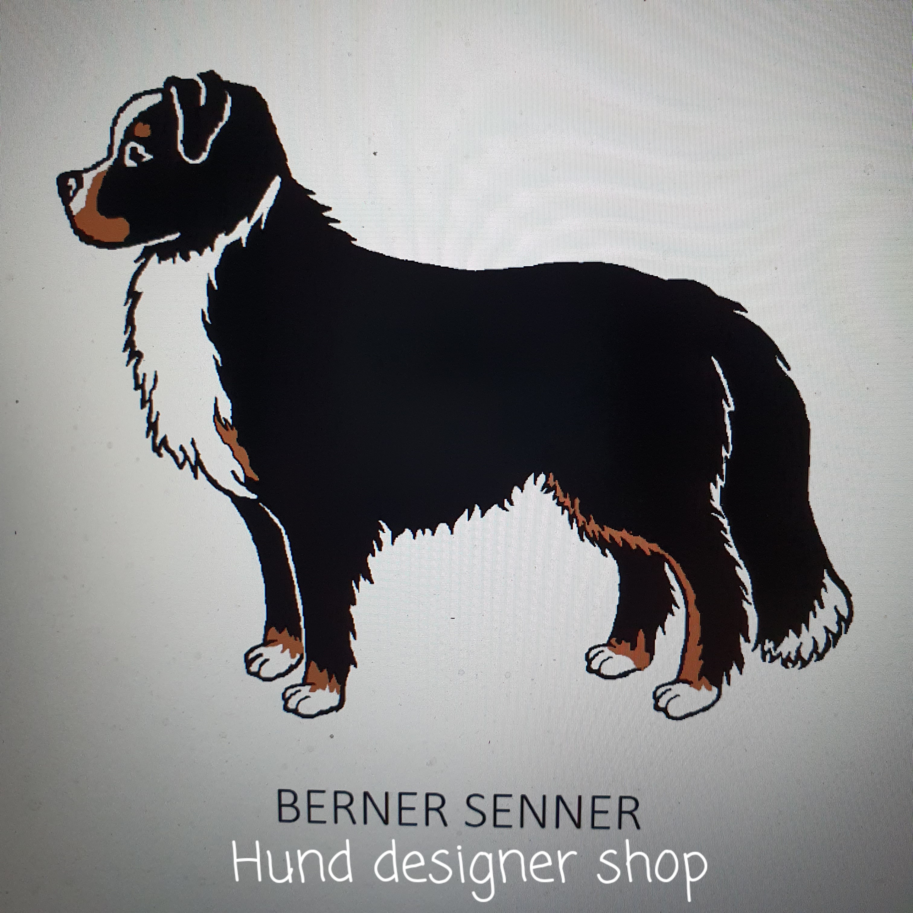 Berner Senner  klisterdekaler flera storlekar & frger. 
