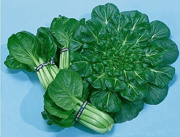 Tatsoi, Bok choy Asiatisk kål