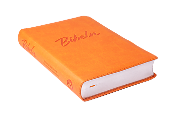 NYA LEVANDE BIBELN 2015-ORANGE