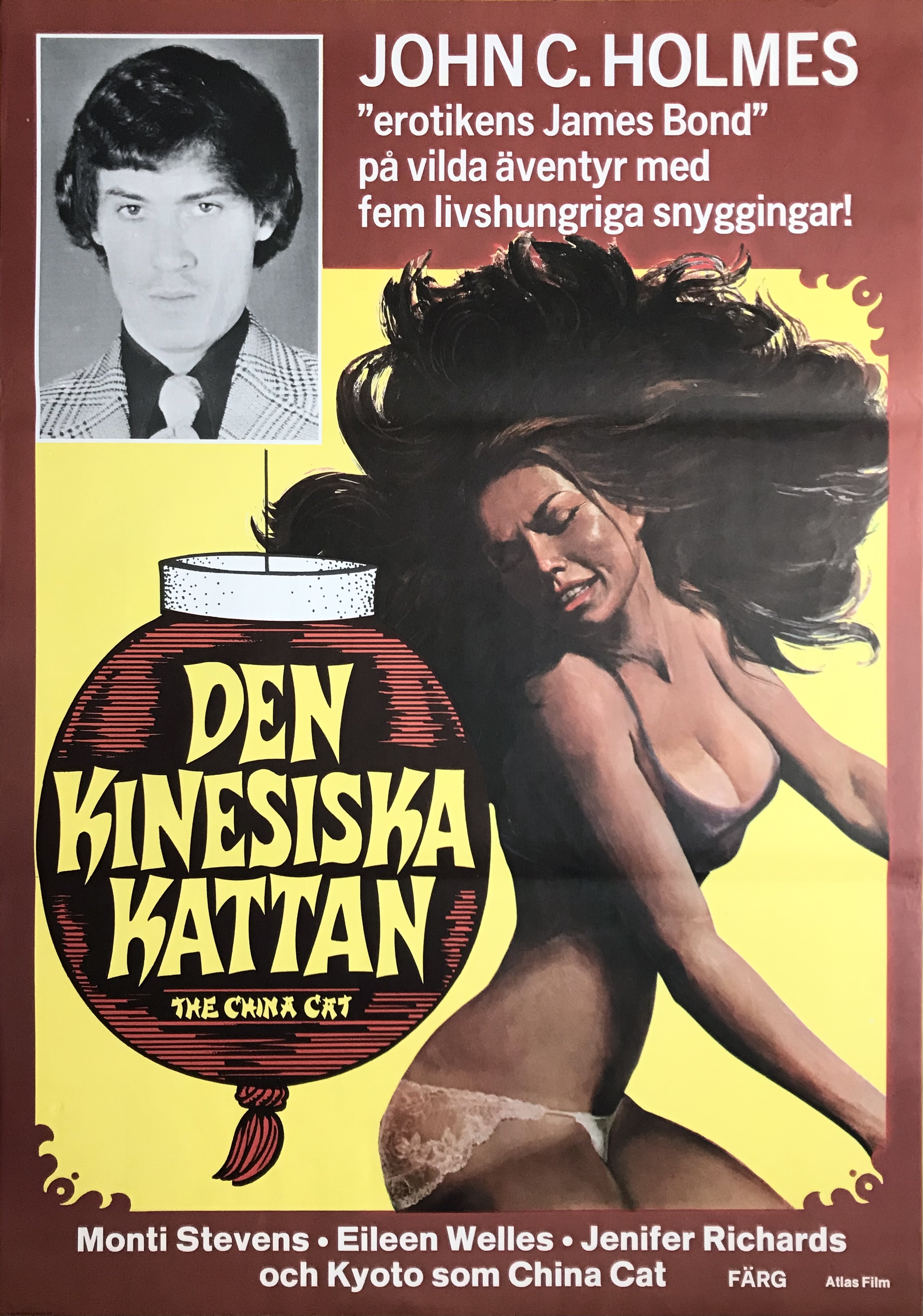 DEN KINESISKA KATTAN (1978)