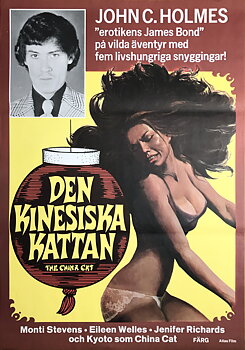 DEN KINESISKA KATTAN (1978)