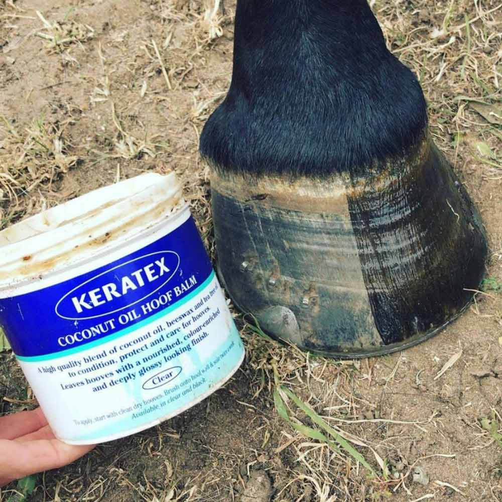 Före och efter applicering av Keratex Coconut Oil Hoof Balm på en hästhov.