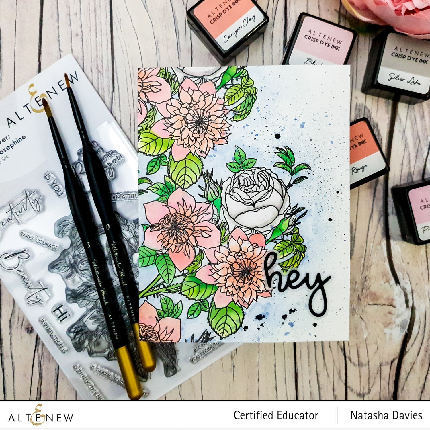 ALTENEW -Paint-A-Flower: Clematis Josephine Outline Stamp Set - 15