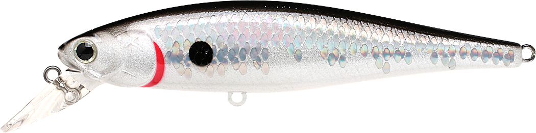 Lucky Craft Pointer 100 SP - 13